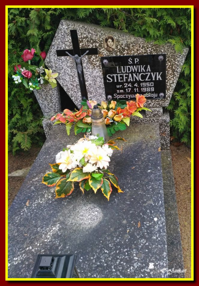 Stefańczyk L.